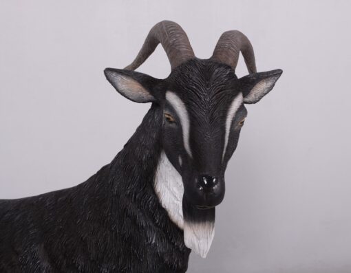 BILLY GOAT JR 130013 - Image 4
