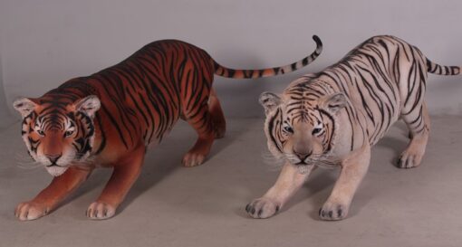 TIGER - BENGAL JR 080120