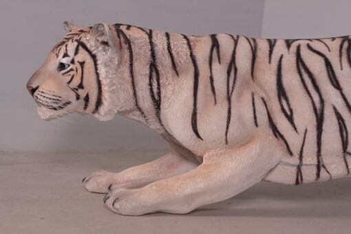TIGER - BENGAL JR 080120 - Image 5
