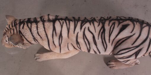 TIGER - BENGAL JR 080120 - Image 2