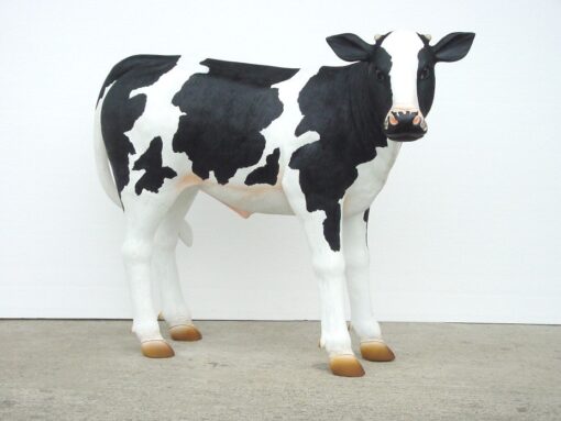 CALF JR 1636