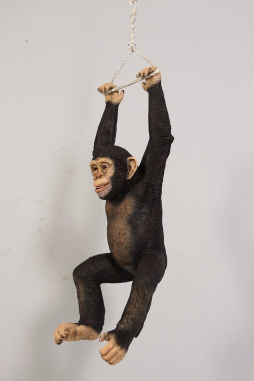 CHIMPANZEE HANGING JR 120040 - Image 4