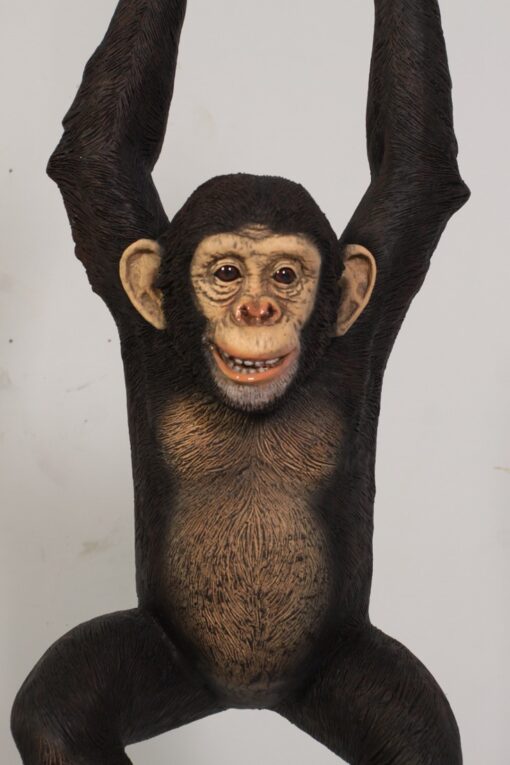 CHIMPANZEE HANGING JR 120040 - Image 7