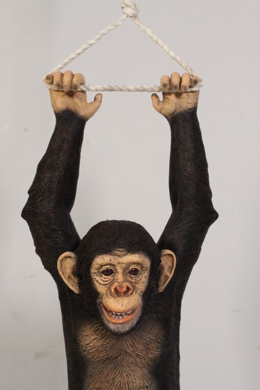 CHIMPANZEE HANGING JR 120040 - Image 6