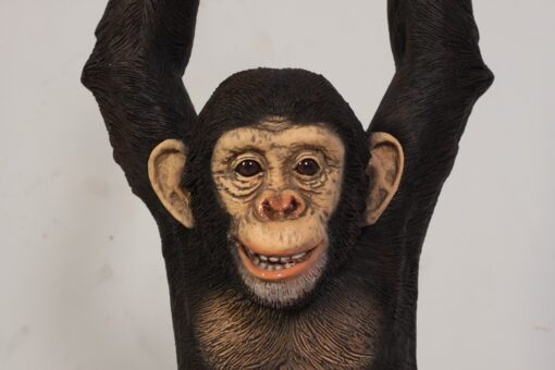 CHIMPANZEE HANGING JR 120040 - Image 5
