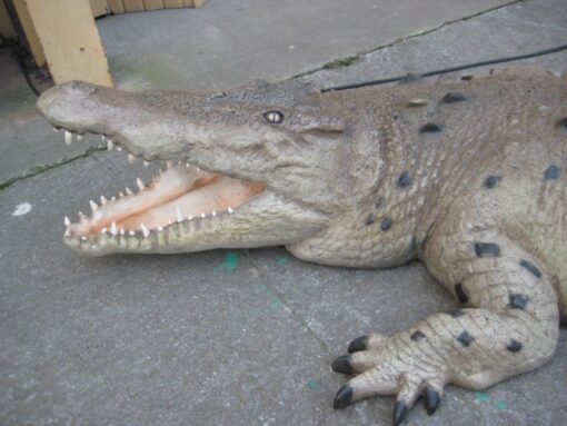 CROCODILE 12FT - MOUTH OPEN JR 110091 - Image 4