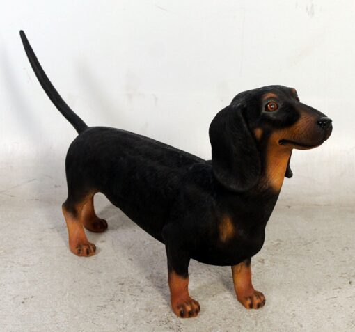 DASCHUND JR 110105