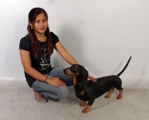 DASCHUND JR 110105 - Image 12