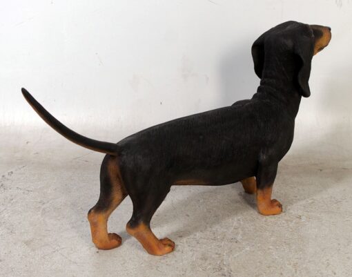 DASCHUND JR 110105 - Image 11
