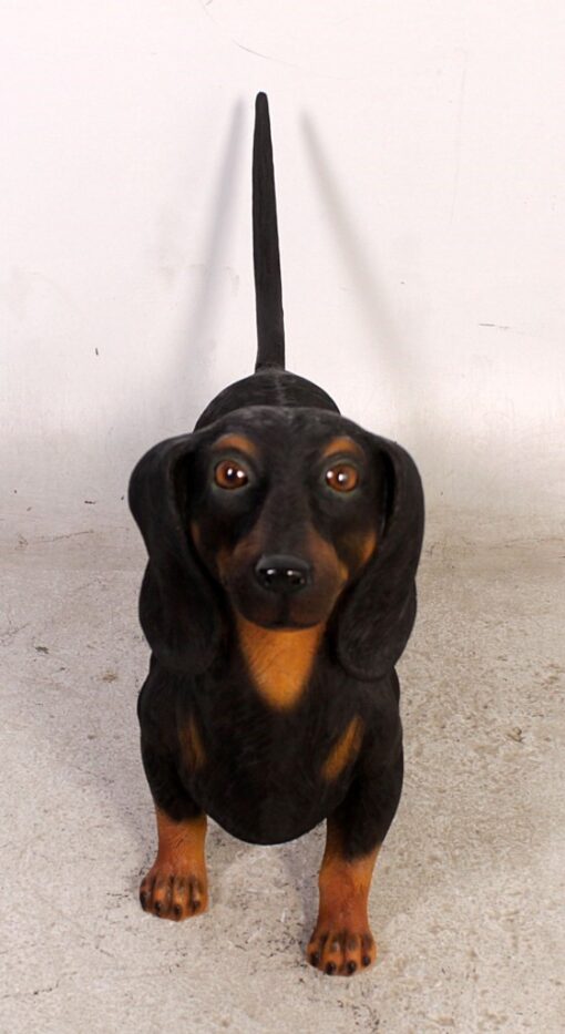 DASCHUND JR 110105 - Image 8