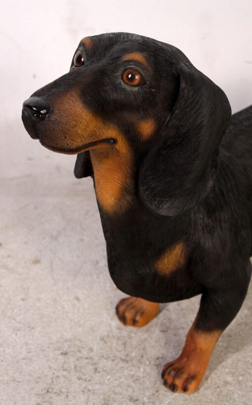 DASCHUND JR 110105 - Image 13