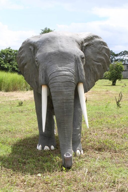 ELEPHANT - AFRICAN JR 100059 - Image 4