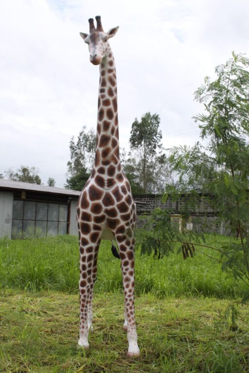 GIRAFFE 12FT JR 090070 - Image 6