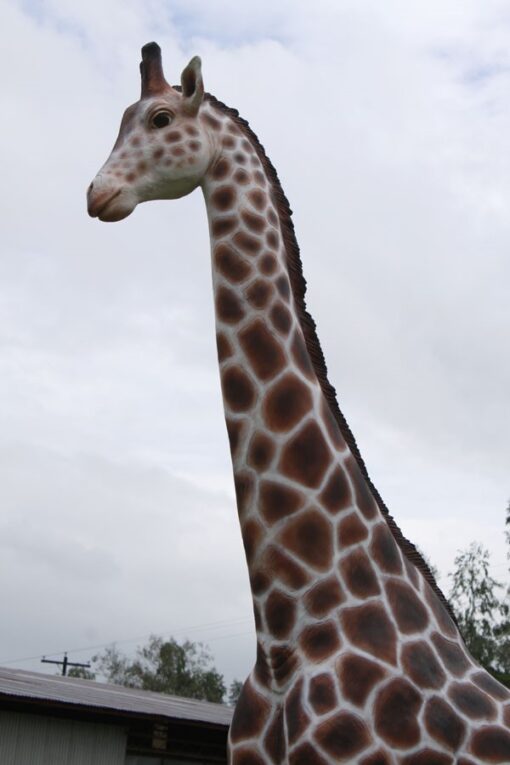 GIRAFFE 12FT JR 090070 - Image 4