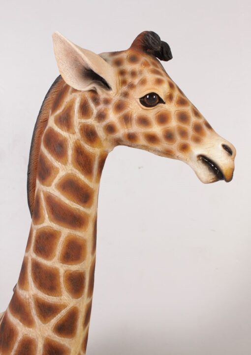 GIRAFFE BABY 6ft JR 120004 - Image 3