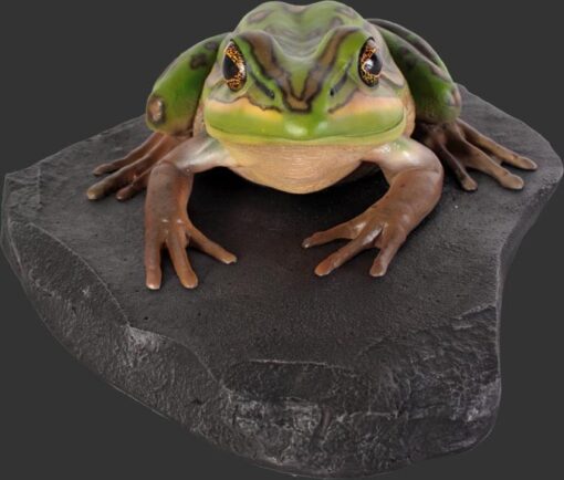GREEN AND GOLDEN BELL FROG ON ROCK JR 100002 - Image 4