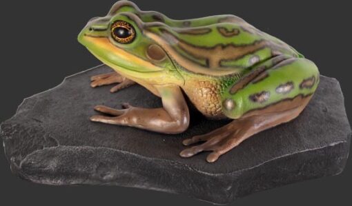 GREEN AND GOLDEN BELL FROG ON ROCK JR 100002 - Image 2