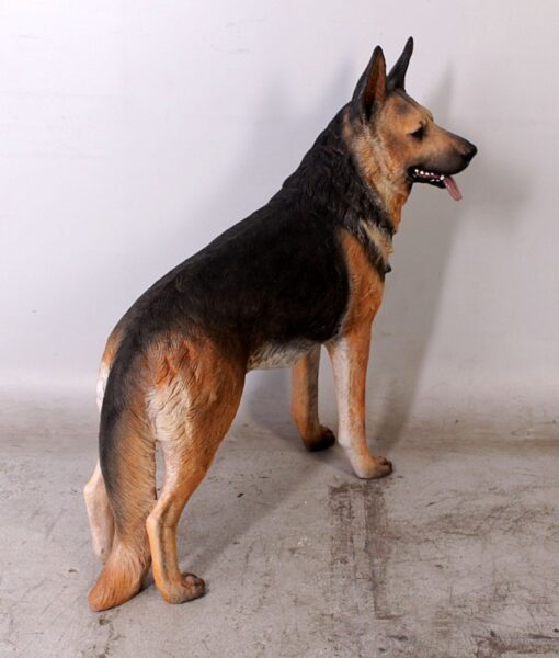 GERMAN SHEPHERD JR 110104 - Image 3