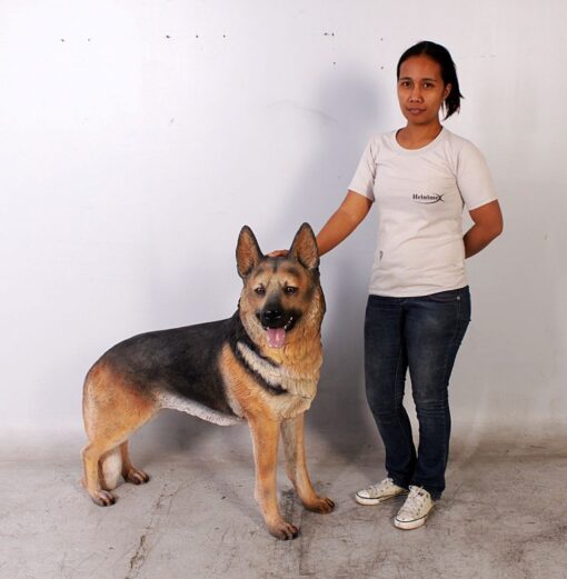 GERMAN SHEPHERD JR 110104 - Image 10