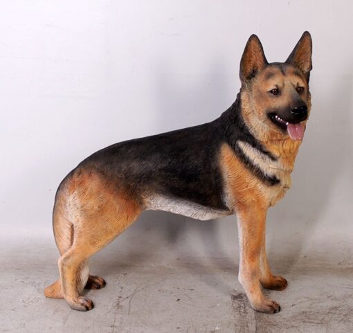 GERMAN SHEPHERD JR 110104
