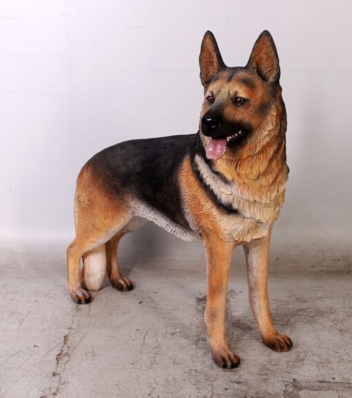 GERMAN SHEPHERD JR 110104 - Image 8