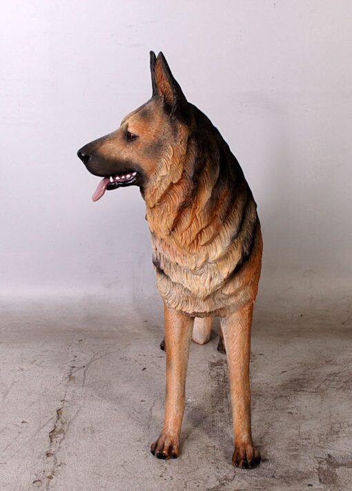 GERMAN SHEPHERD JR 110104 - Image 7