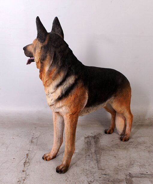GERMAN SHEPHERD JR 110104 - Image 6