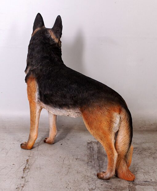 GERMAN SHEPHERD JR 110104 - Image 4