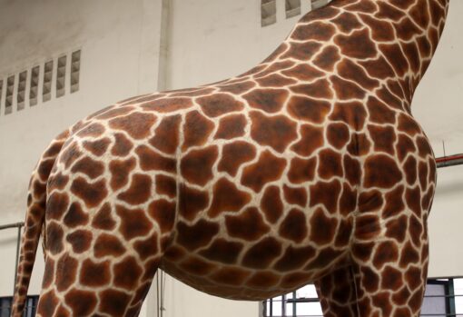 GIRAFFE 18FT JR 140039 - Image 5