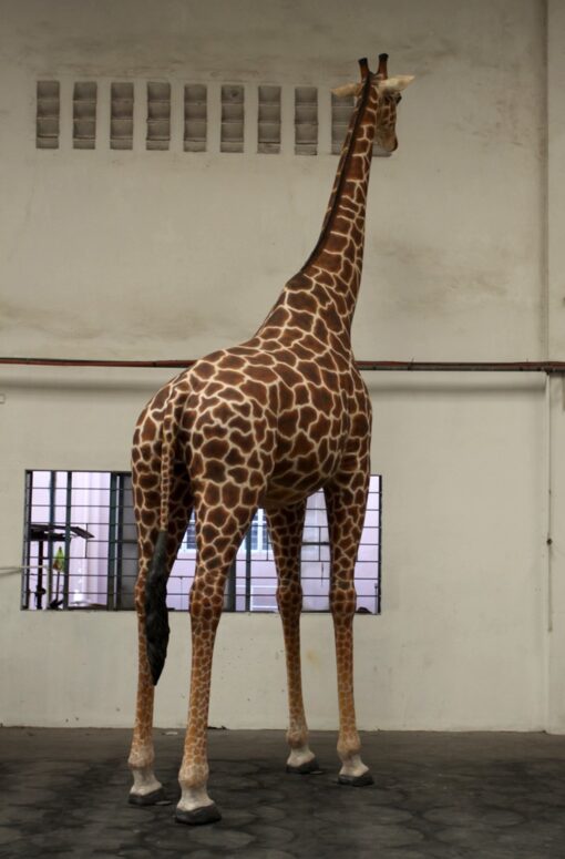 GIRAFFE 18FT JR 140039 - Image 4
