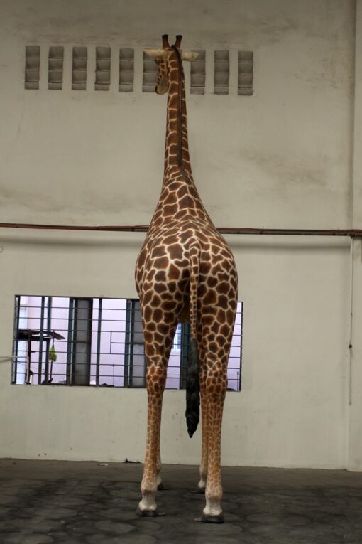 GIRAFFE 18FT JR 140039 - Image 3