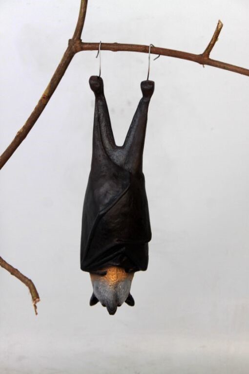 BAT GRAY HEADED FLYING FOX JR 100120 - Image 3