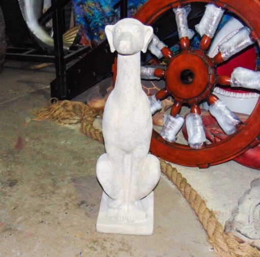 GREYHOUND SITTING JR 170104