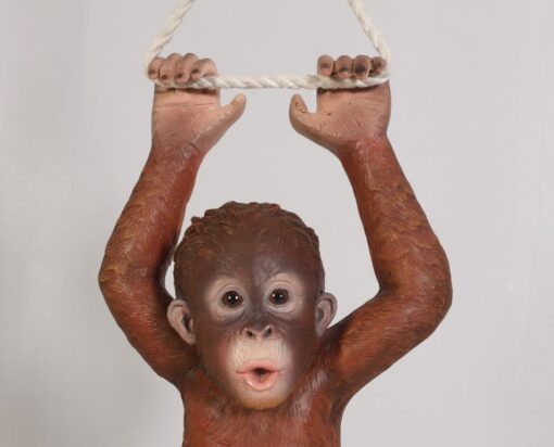 ORANGUTAN BABY HANGING JR 120041 - Image 4