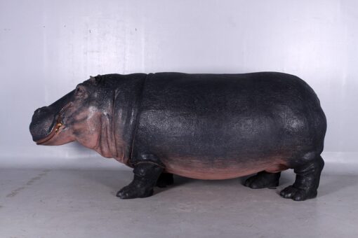 HIPPOPOTAMUS JR 140043 - Image 9