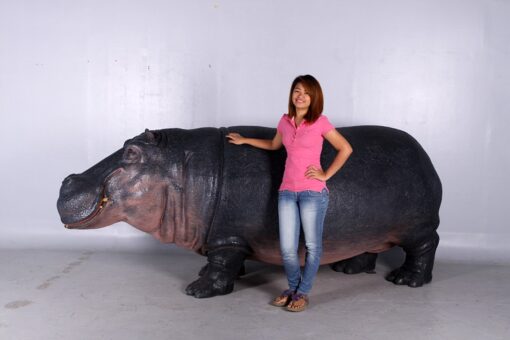HIPPOPOTAMUS JR 140043 - Image 8