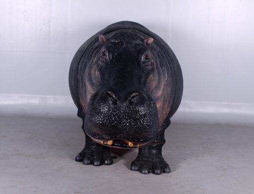 HIPPOPOTAMUS JR 140043 - Image 5
