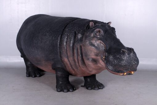 HIPPOPOTAMUS JR 140043 - Image 4