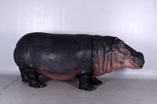 HIPPOPOTAMUS JR 140043 - Image 3
