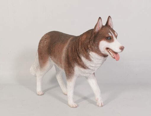 HUSKY SIBERIAN JR 120079