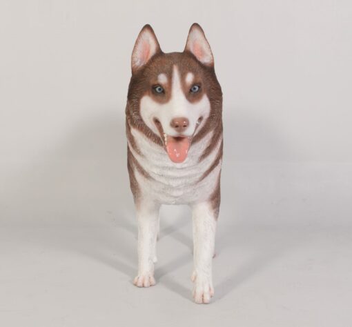 HUSKY SIBERIAN JR 120079 - Image 5