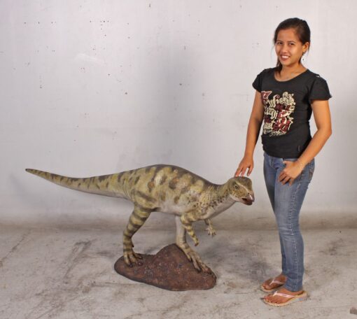 HYPSILOPHODONT JR 120008 - Image 2