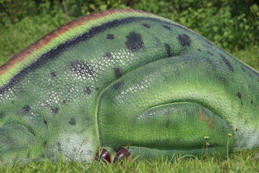 MUTTABURRASAURUS SLEEPING JR 190010 - Image 4