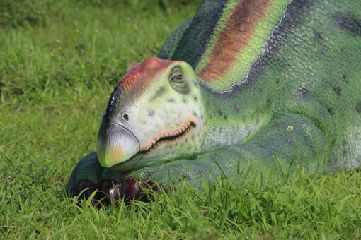 MUTTABURRASAURUS SLEEPING JR 190010 - Image 6