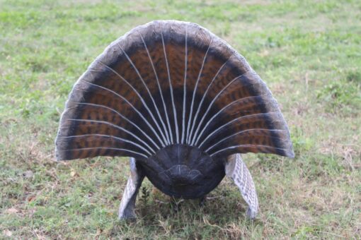 WILD TURKEY JR 100126 - Image 7