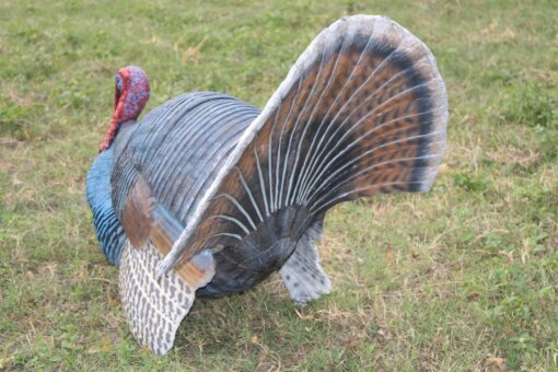 WILD TURKEY JR 100126 - Image 5