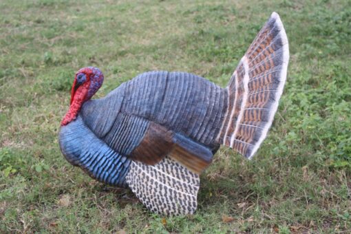 WILD TURKEY JR 100126 - Image 4