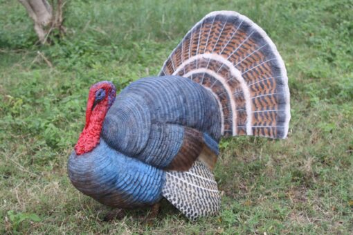 WILD TURKEY JR 100126 - Image 3