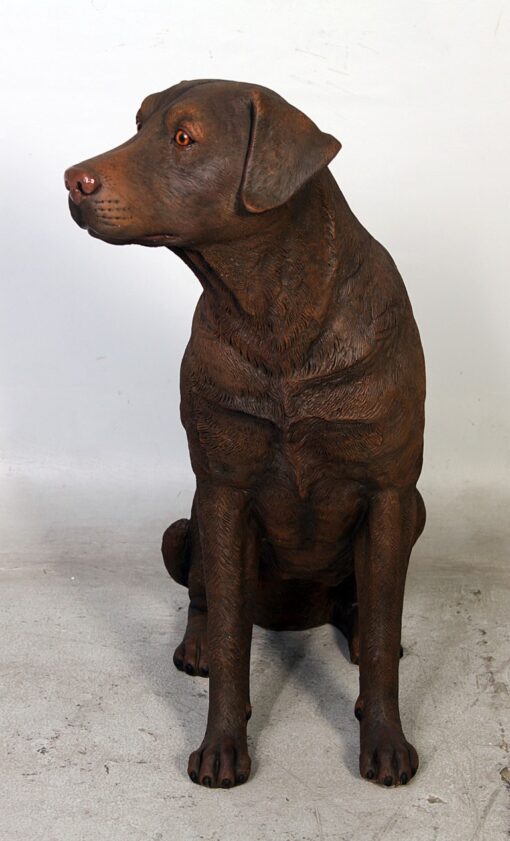 LABRADOR SITTING JR 110098 - Image 5