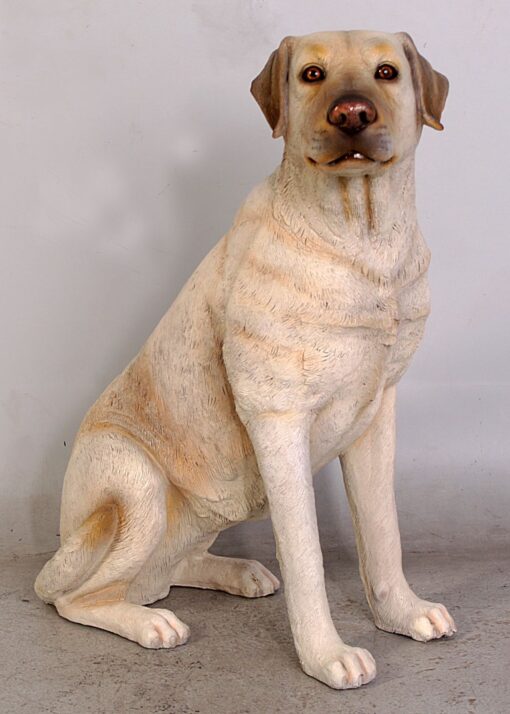 LABRADOR SITTING JR 110098 - Image 11